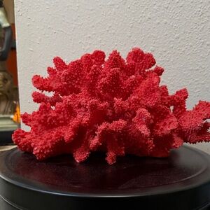 Vibrant Red Coral Decor